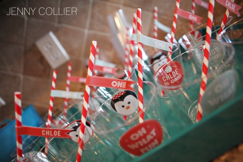 tulsa birthday party photography