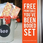You’ve Been Booed Printable