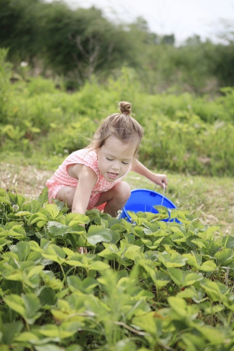 collier052814_42 copy