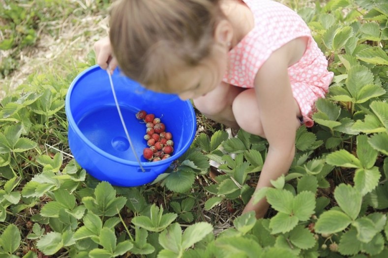 collier052814_45 copy