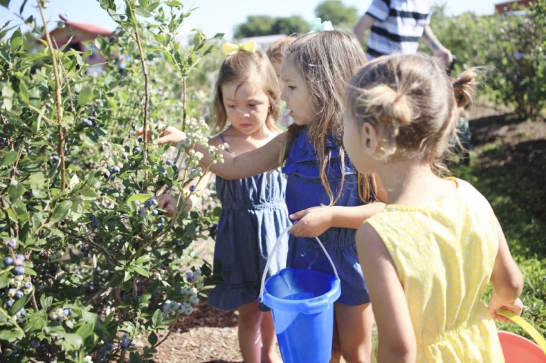 collier06131403 copy