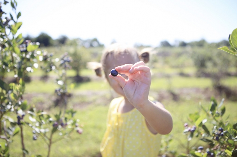 collier06131426 copy