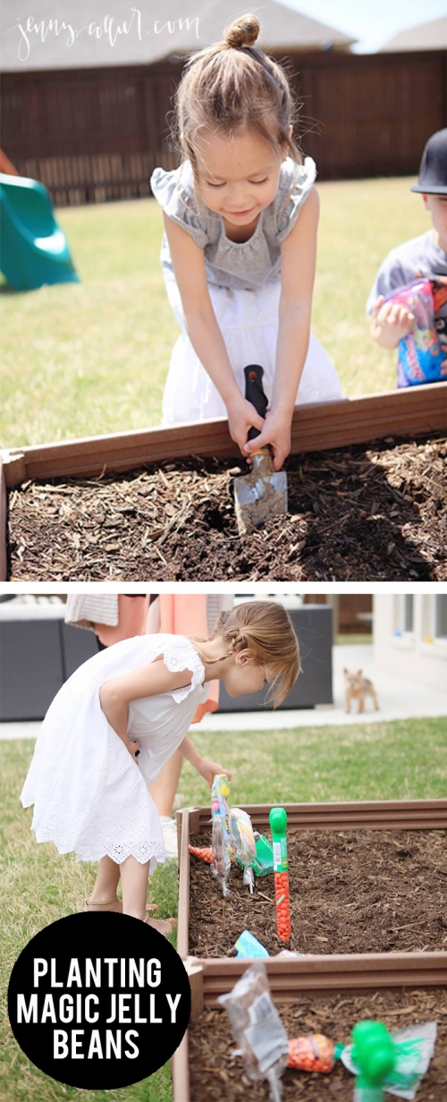 Planting magic jelly beans on Good Friday is a fun Easter tradition for kids.
