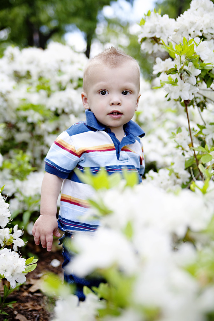 collier042410_3 copy