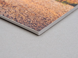 DoubleWeightMatboard.mjpg