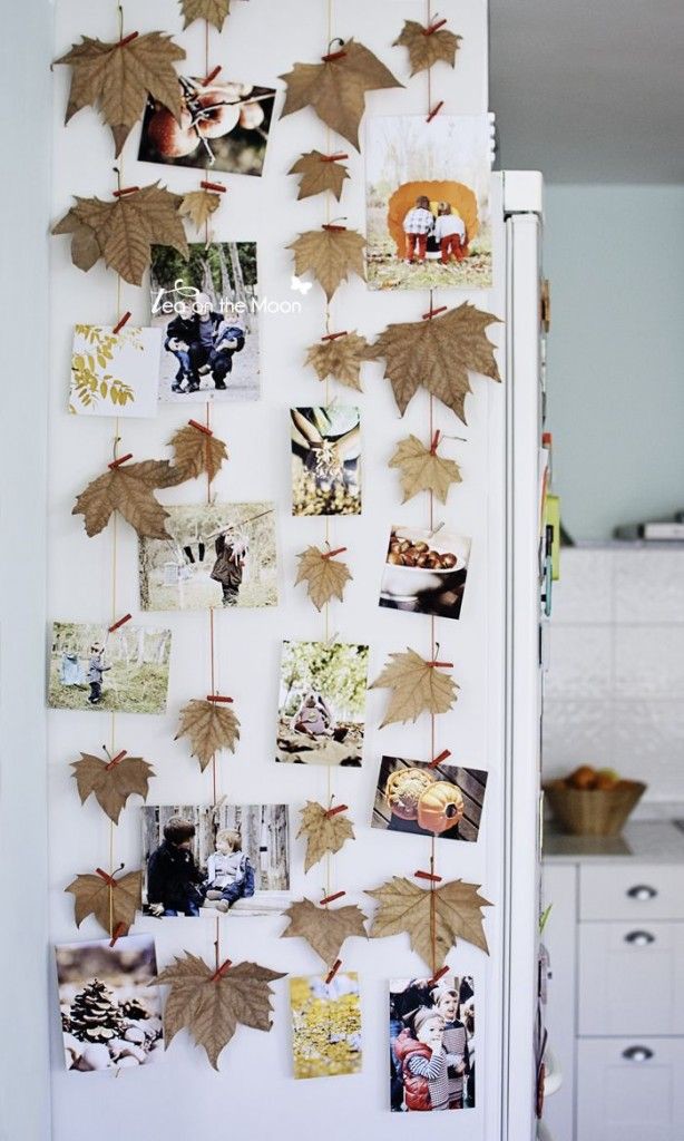 Accent wall full of leaves and fall photos