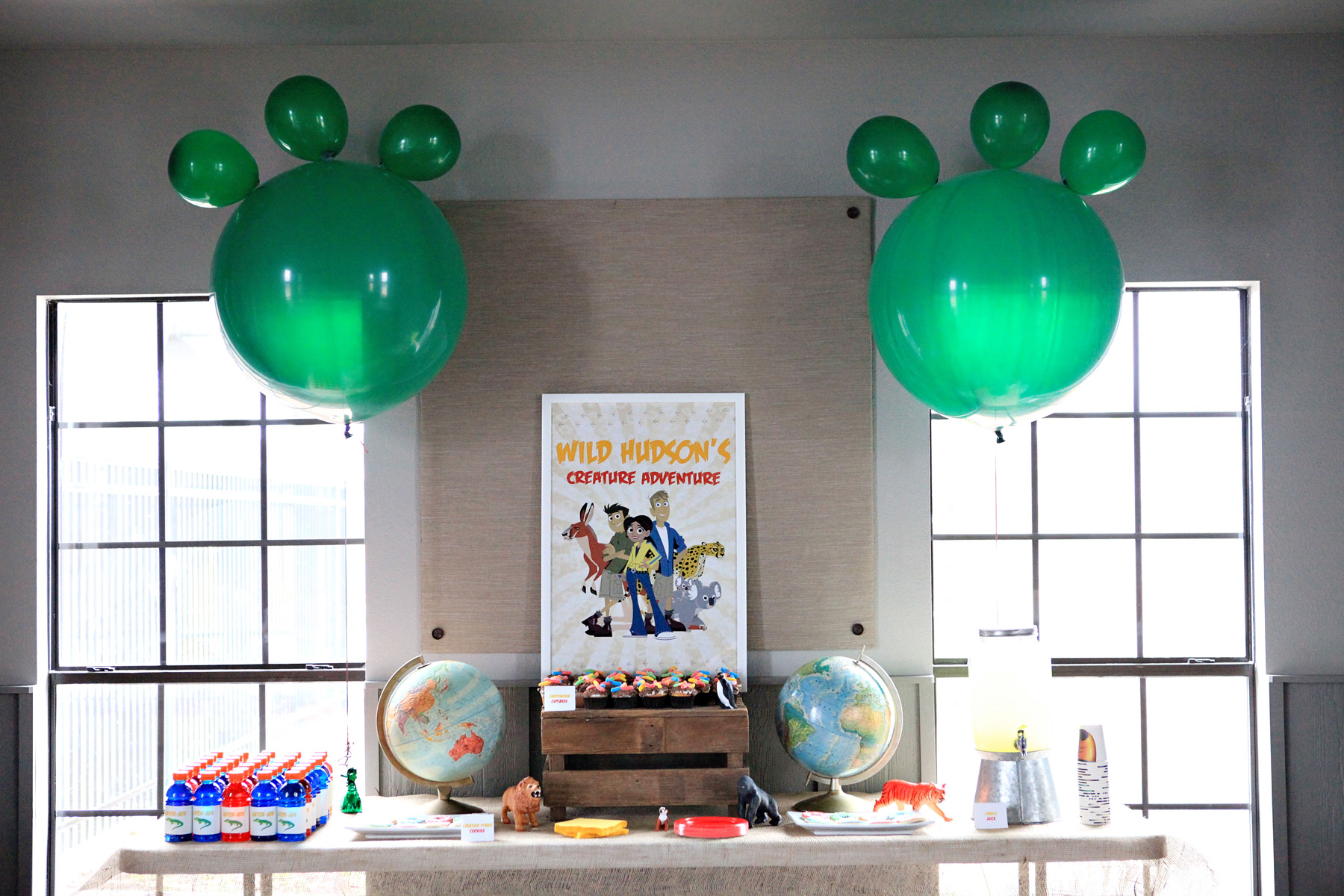 Hudson’s Wild Kratts Party